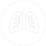 Pulmonology